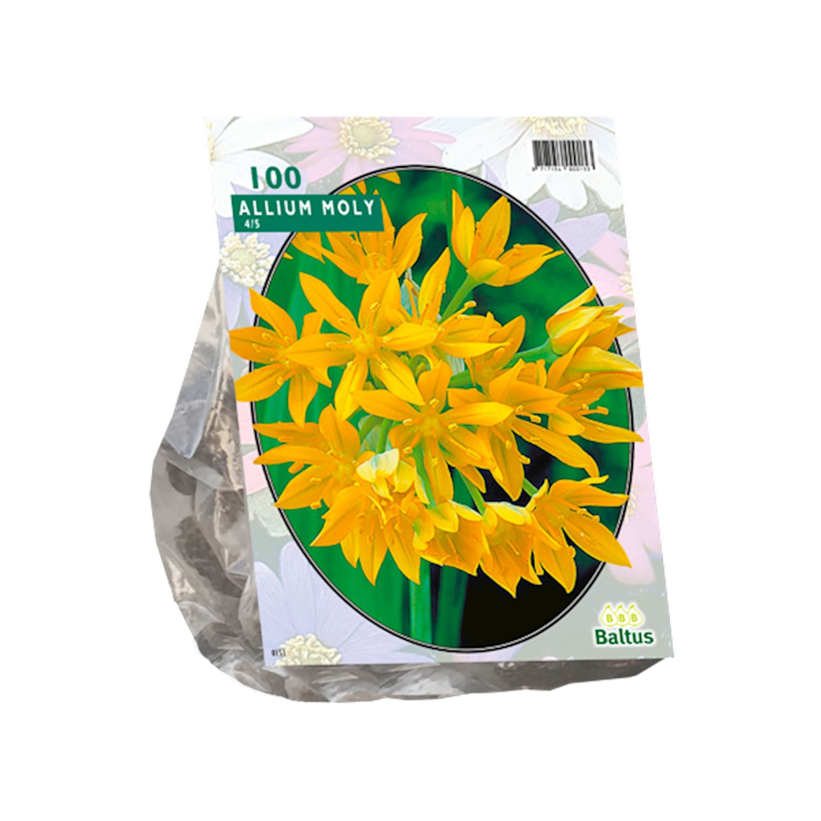 Baltus 'Allium Moly' - voorjaarsbloeiers - 100 bollen