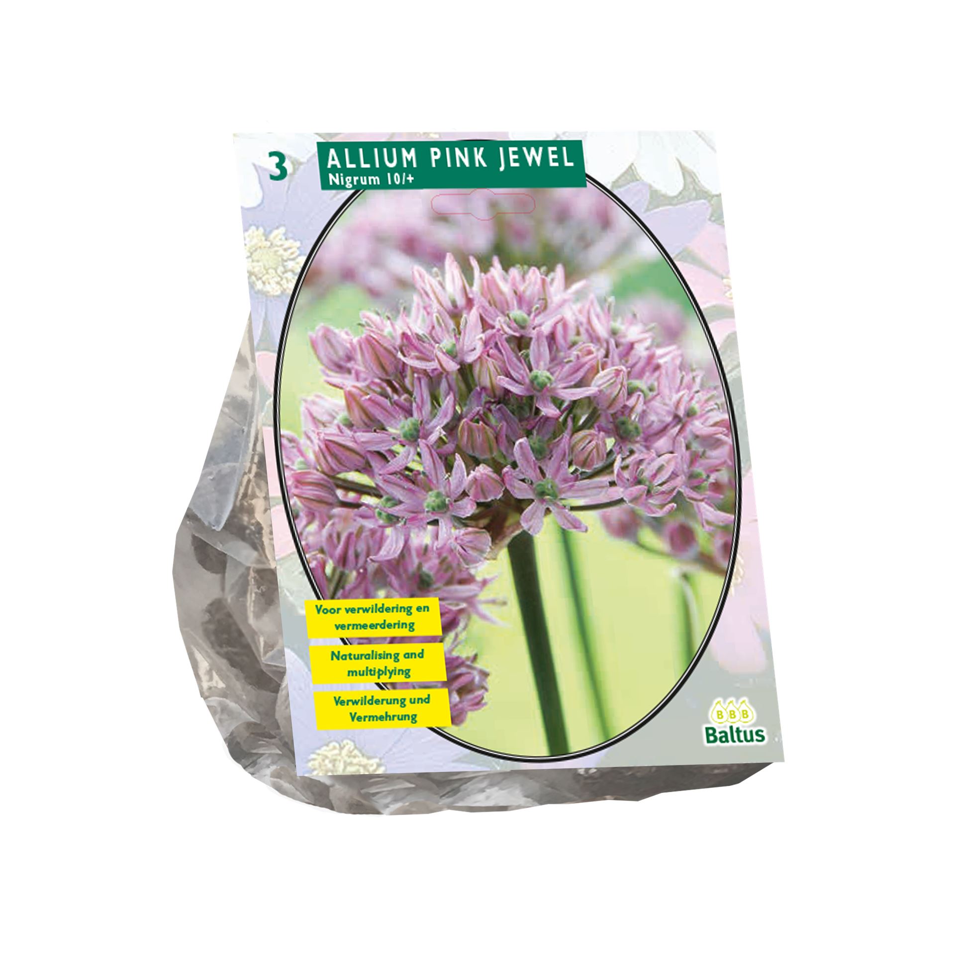 Baltus sierui 'Allium Pink Jewel' - Roze - voorjaarsbloeiers - 3 bloembollen