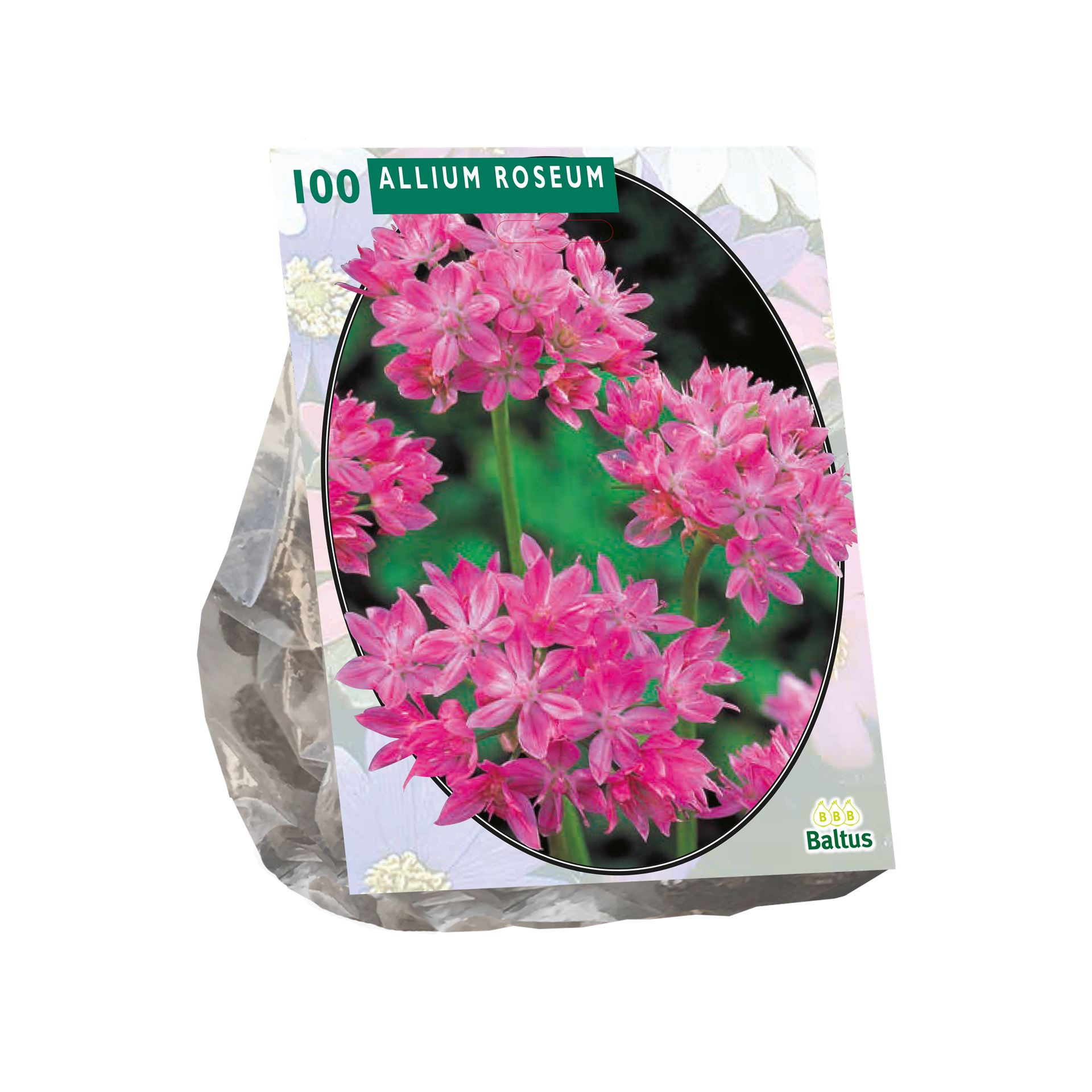 Baltus'Allium Roseum'voorjaarsbloeiers - 100 bollen afbeelding