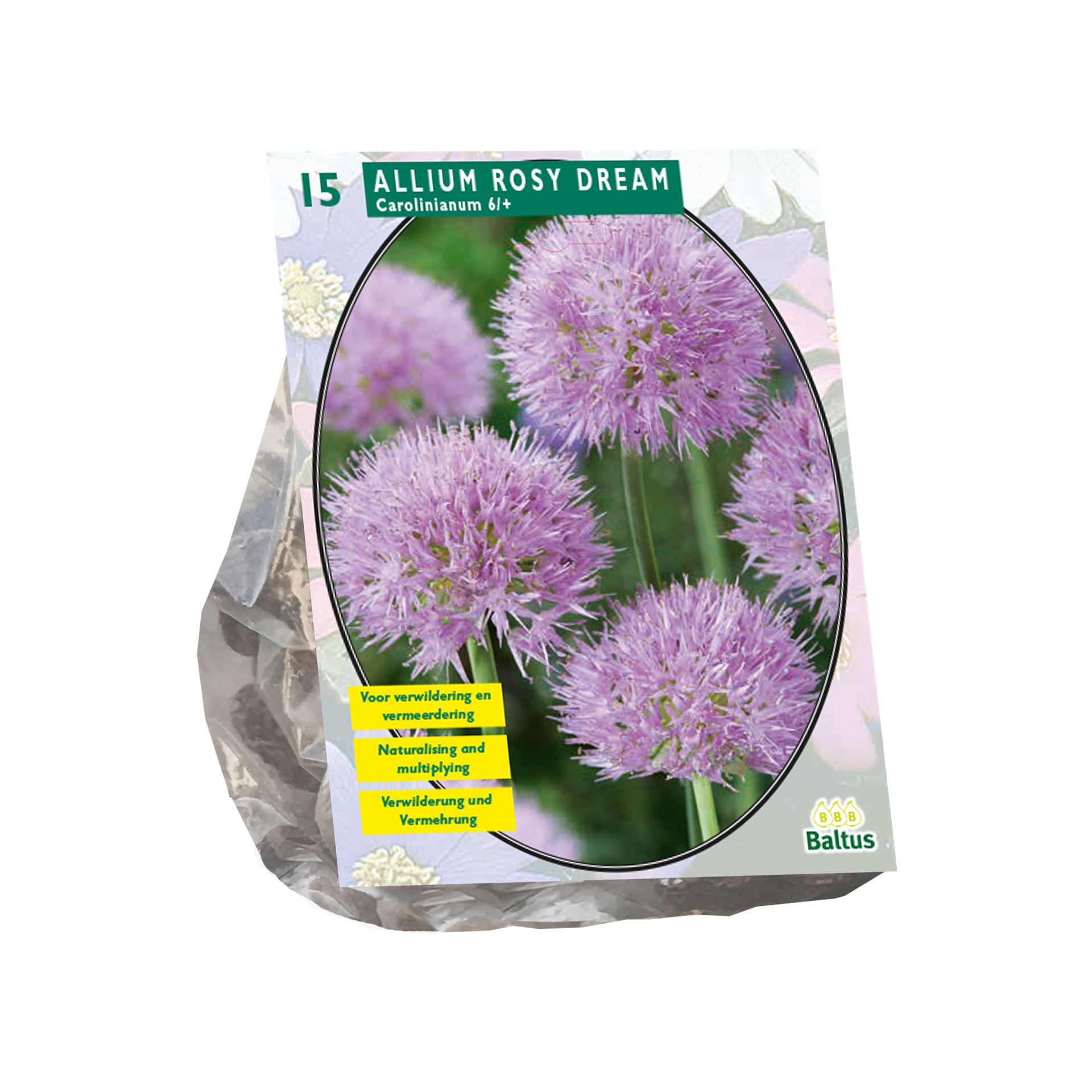 Baltus sierui'Allium Rosy Dreams'voorjaarsbloeiers - Roze - 15 bloembollen afbeelding