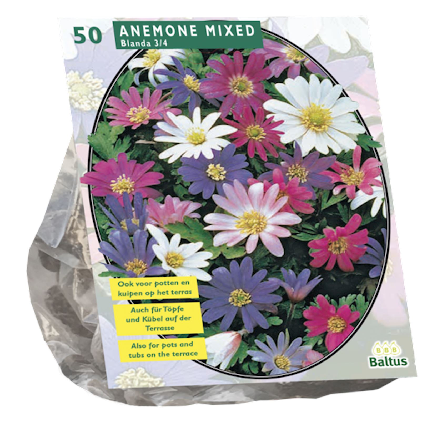 Baltus 'Anemone Blanda' - Mix - voorjaarsbloeiers - 50 bollen