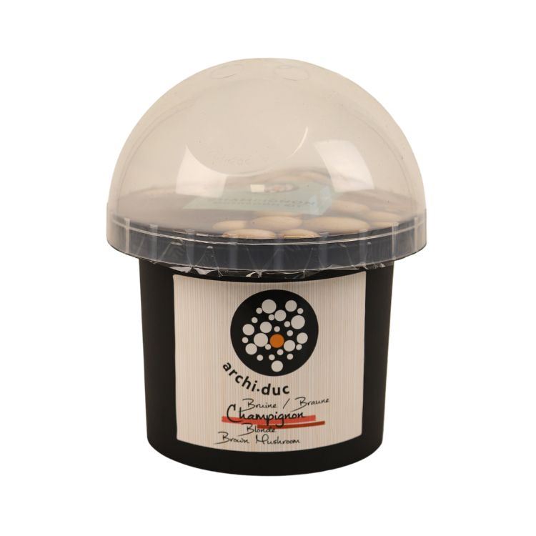 Archi-Duc kweekset kit bruine champignons afbeelding