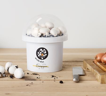 Archi-Duc kweekset kit witte champignons afbeelding