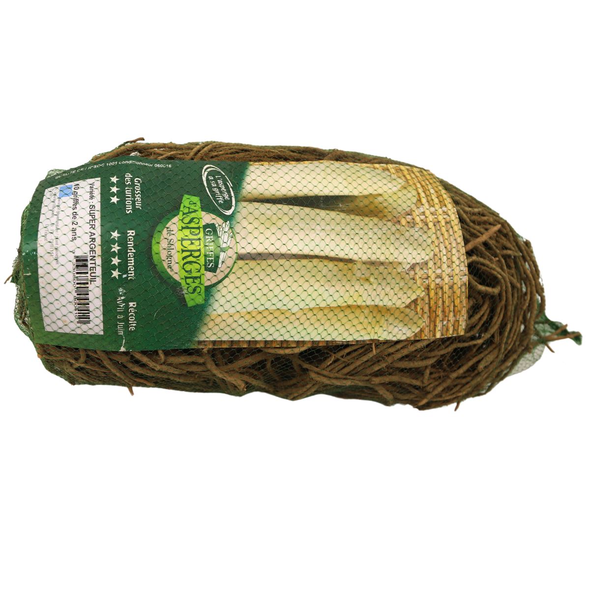 Debaere aspergewortels 2-jarig'Argenteuil SUPER'- set van 10 planten afbeelding