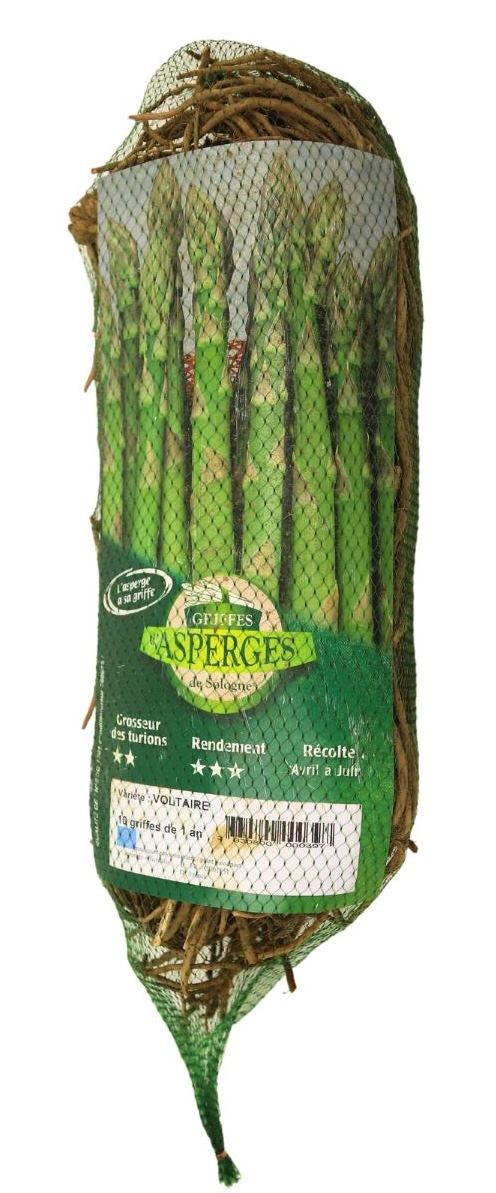 Debaere aspergewortelséénjarig'Voltaire'- set van 10 planten afbeelding