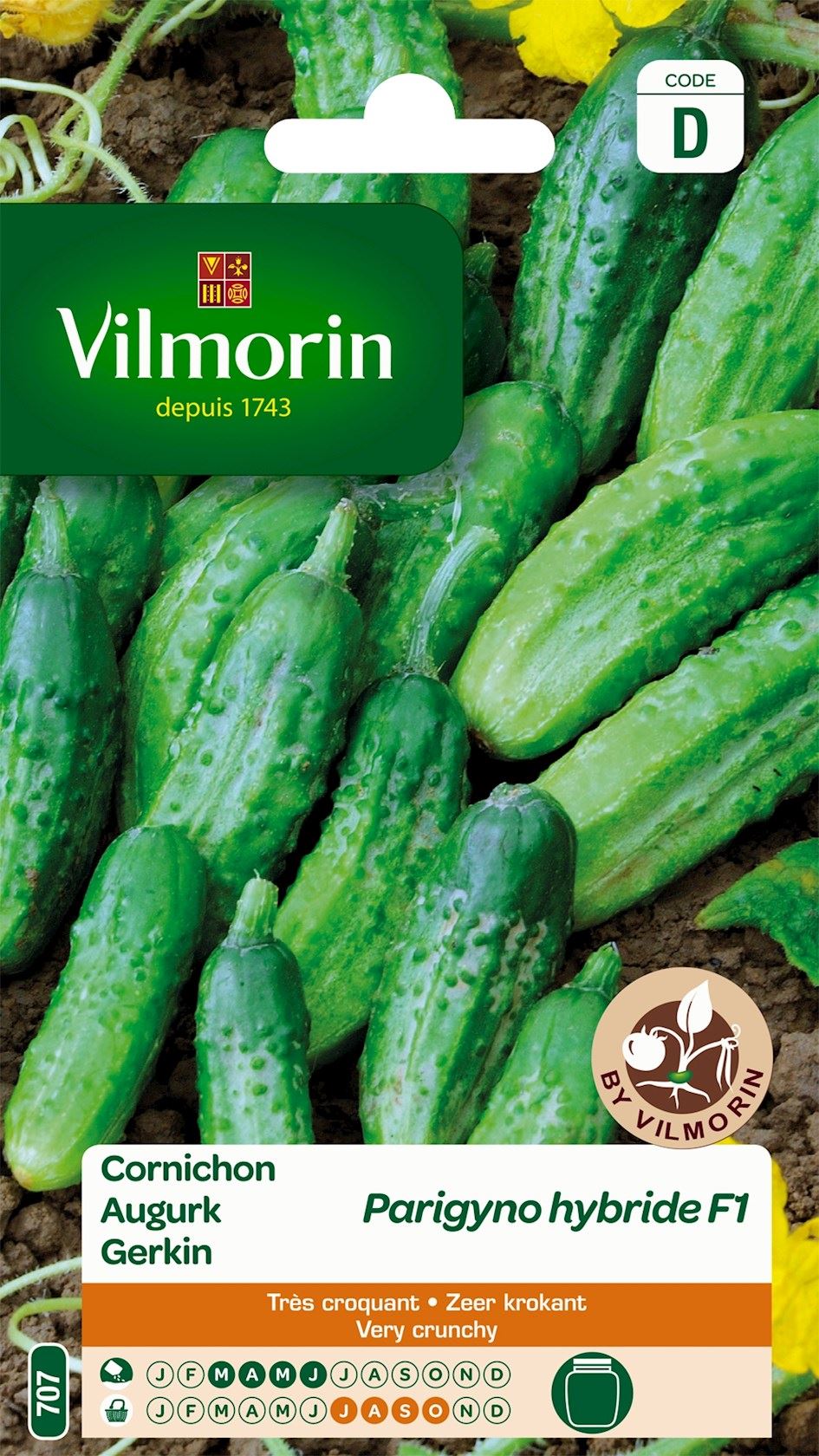 Vilmorin Augurk zaden - Parigyno HF1 afbeelding