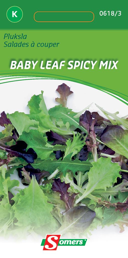 Somers Pluksla Baby Leaf Spicy Mix - Zaadvast pluksla - snijsla afbeelding