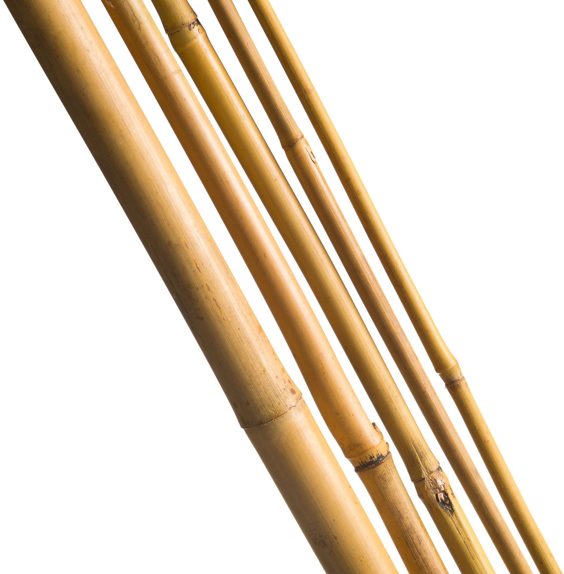 Nature bamboestok - hoogte 150cm - Diameter 12-14 mm - set van 4