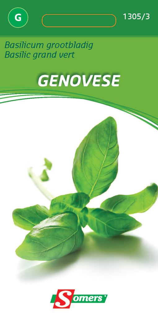 Somers Basilicumzaden - Grootbladig Genovese - Zaadvast basilicum afbeelding