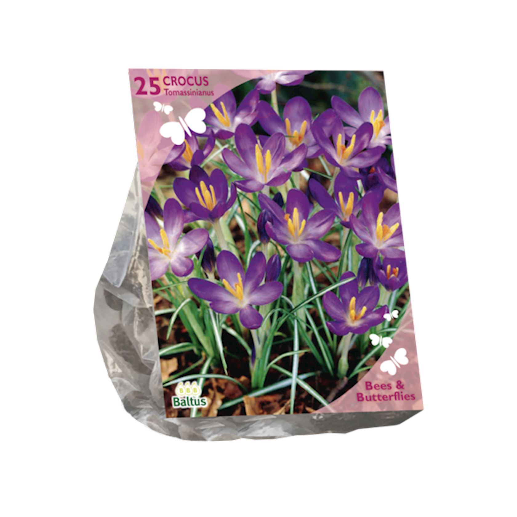 Baltus'Crocus Tommasinianus'voorjaarsbloeiers - Voor bijen en vlinders - 25 bollen afbeelding