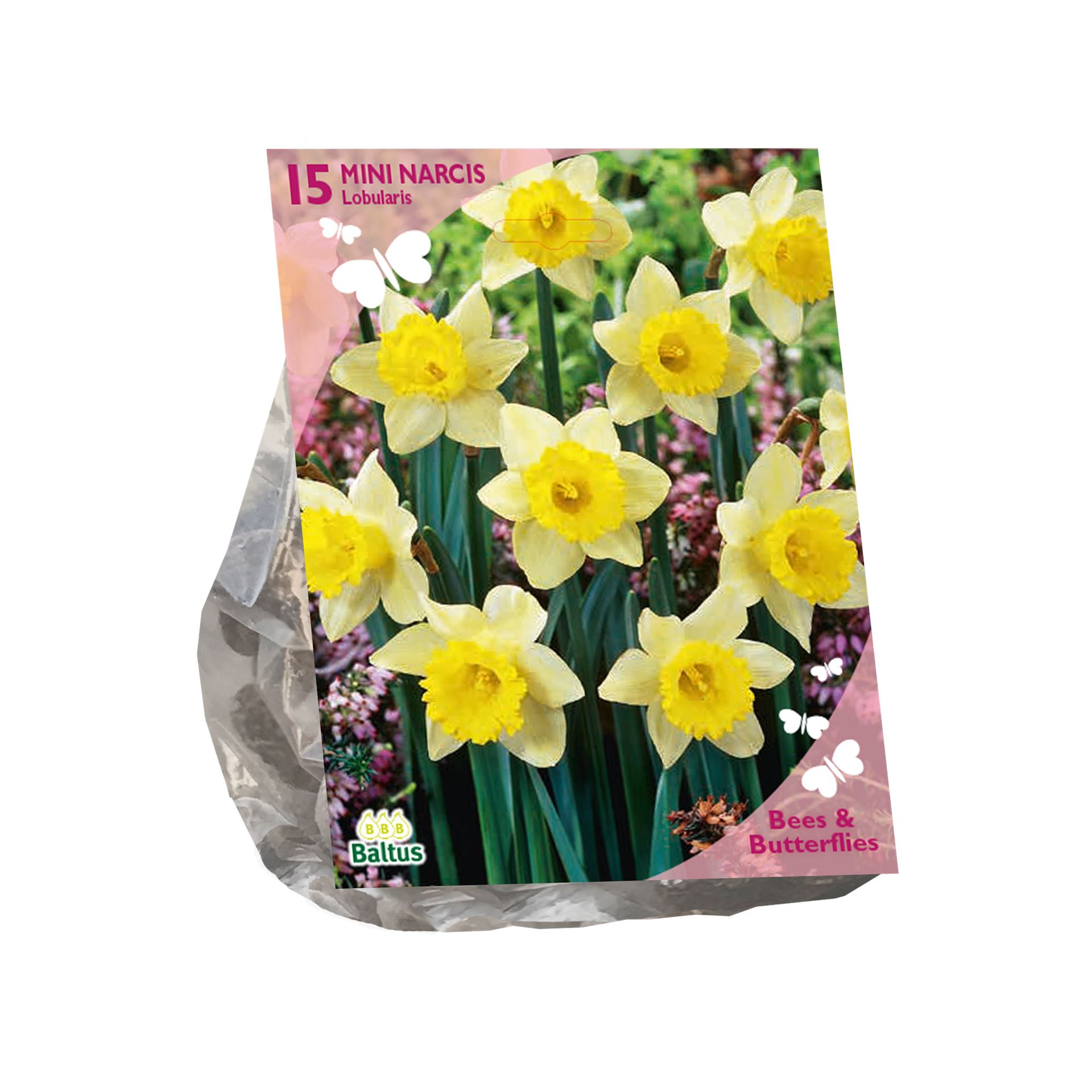 Baltus narcissen'Narcissus Iobularis'voorjaarsbloeiers - Geel - 15 bloembollen - Aantrekkelijk voor bijen en vlinders afbeelding