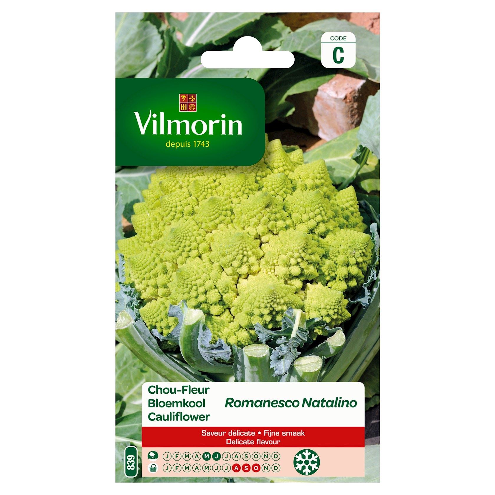 Vilmorin Bloemkool zaden - Romanesco Natalino afbeelding