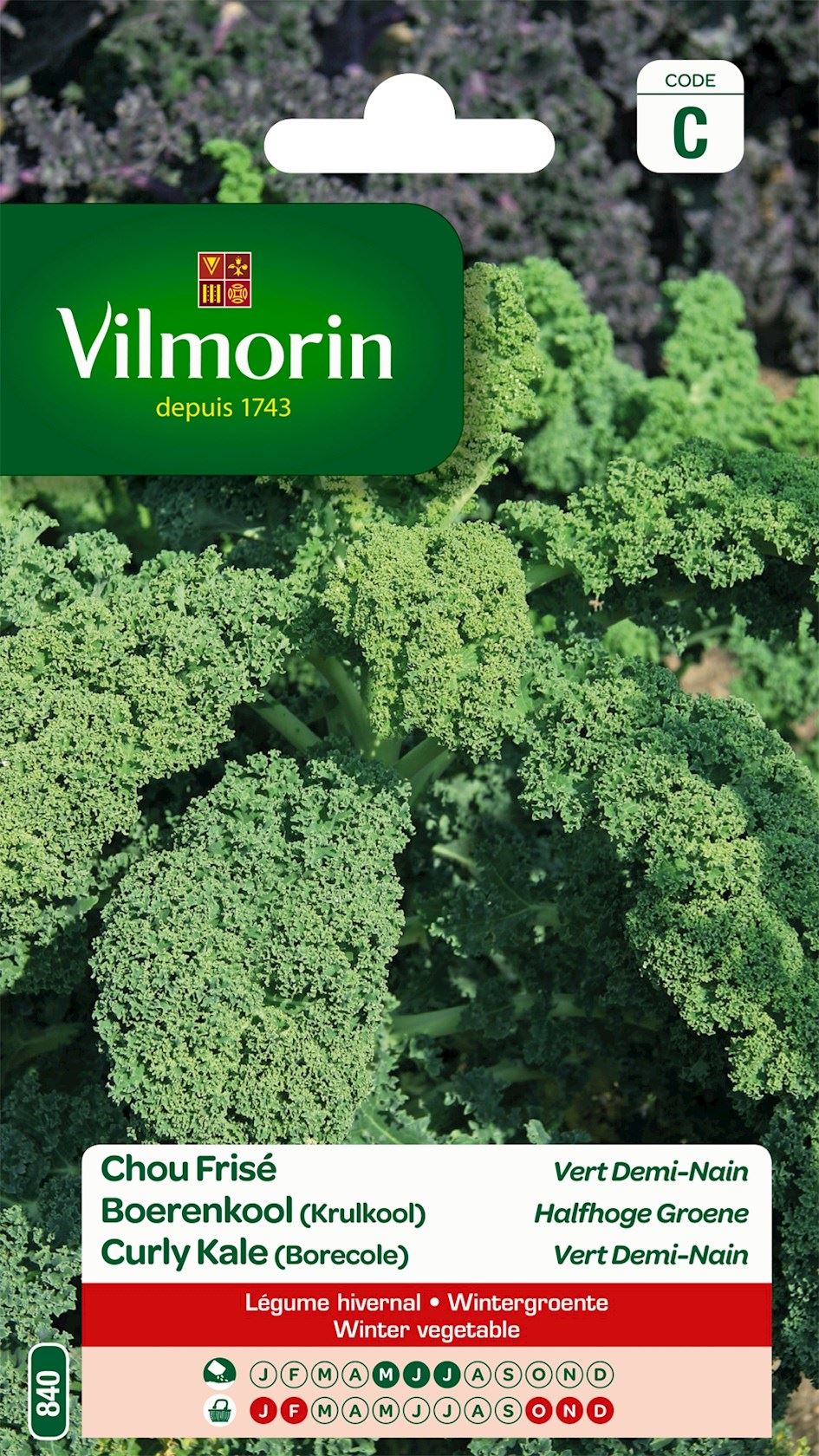 Vilmorin Boerkenkool zaden - Krulkool Halfhoge Groene afbeelding