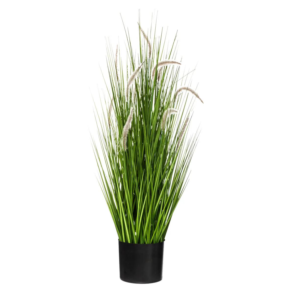 Atmosphera siergras groen H100cm afbeelding