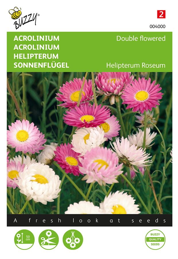 Buzzy acrolinium Dubbelbloemig, gemengd afbeelding
