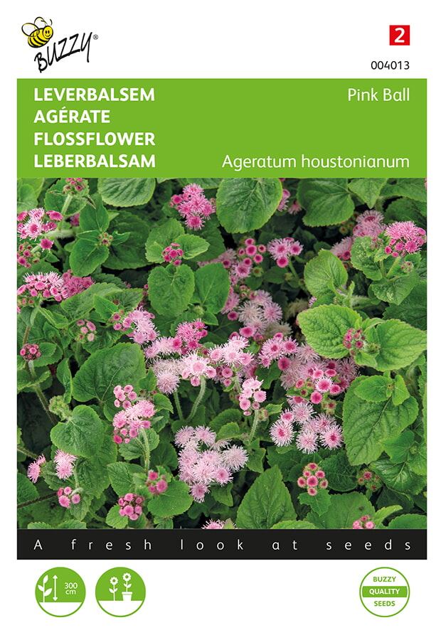 Buzzy Ageratum, Leverbalsem Pink Ball afbeelding