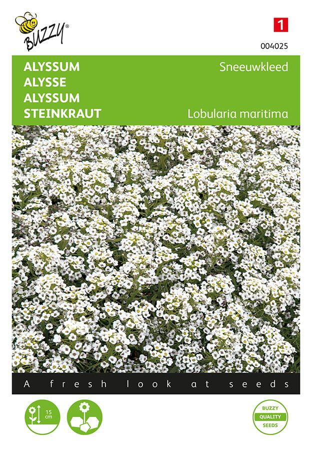 Buzzy® Alyssum zaden - Sneeuwkleed afbeelding