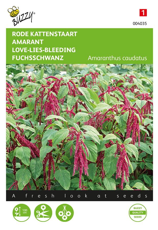 Buzzy® Amarant zaden - Kattenstaart - rood afbeelding