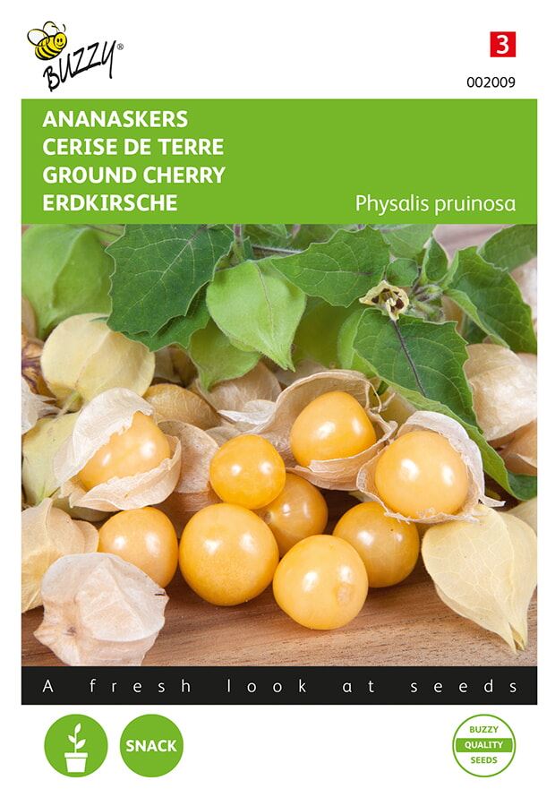 Buzzy® Ananaskers zaden - Physalis pruinosa afbeelding
