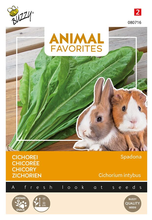 Buzzy Animal Favorites Cichorei voor Konijn en Cavia afbeelding