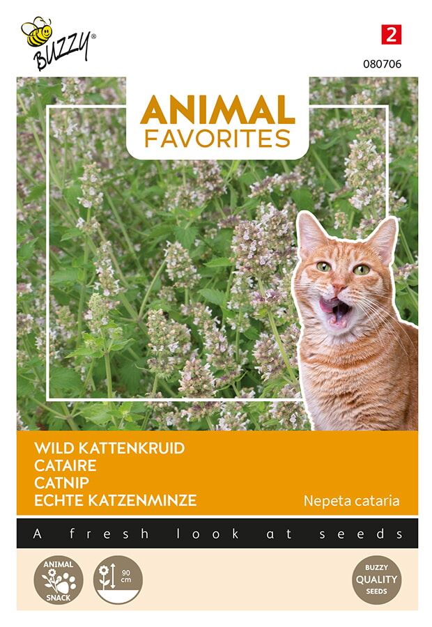Buzzy® Kattenkruid zaden afbeelding