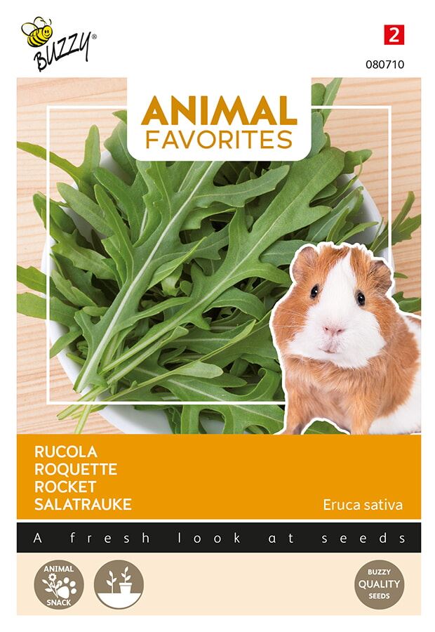 Buzzy Animal Favorites Rucola voor Cavia's afbeelding