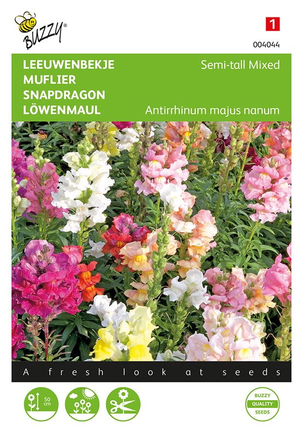 Buzzy® Leeuwenbekje zaden - Half - hoge - gemengd afbeelding