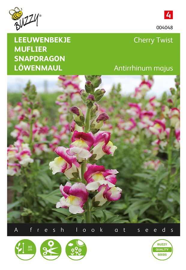 Buzzy Antirrhinum, Leeuwenbekje Cherry Twist afbeelding