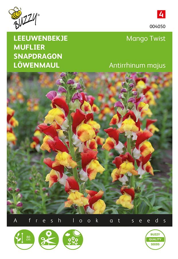 Buzzy Antirrhinum Leeuwenbekje'Mango Twist' afbeelding