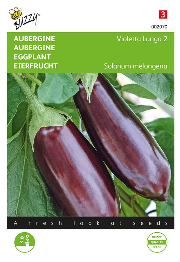 Buzzy® Aubergine zaden - Violetta Lunga afbeelding