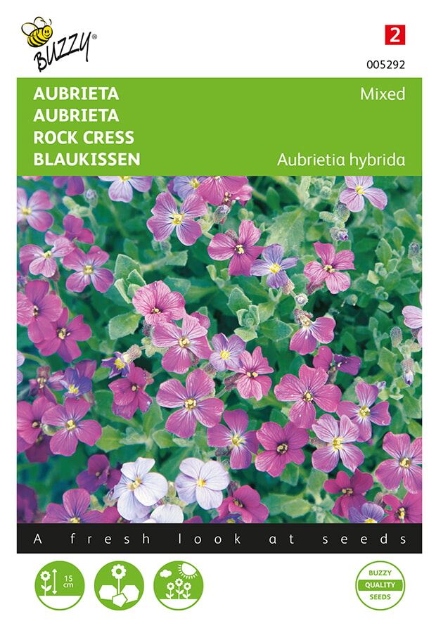 Buzzy® Aubrietia zaden - Grandiflora - gemengd afbeelding