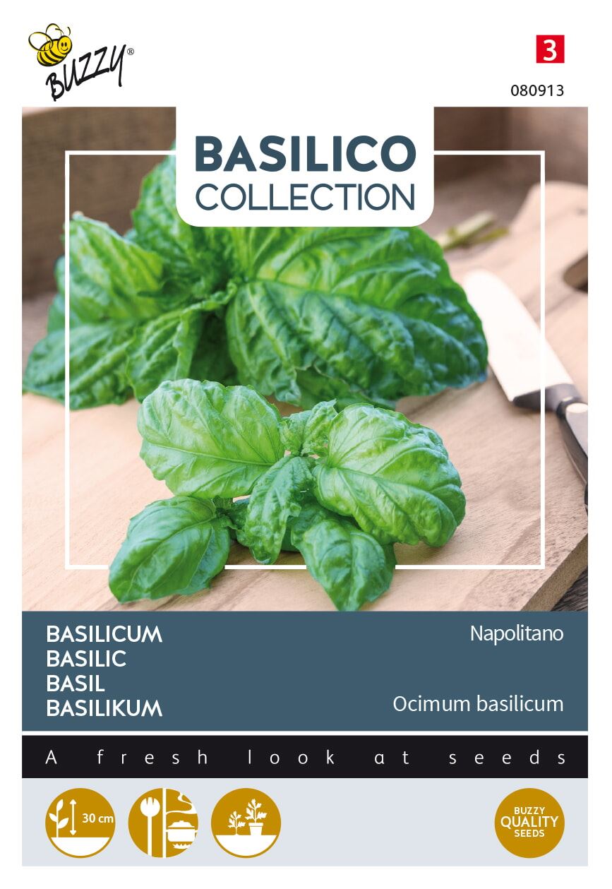 Buzzy® Basilicum zaden - a foglia di lattuga afbeelding