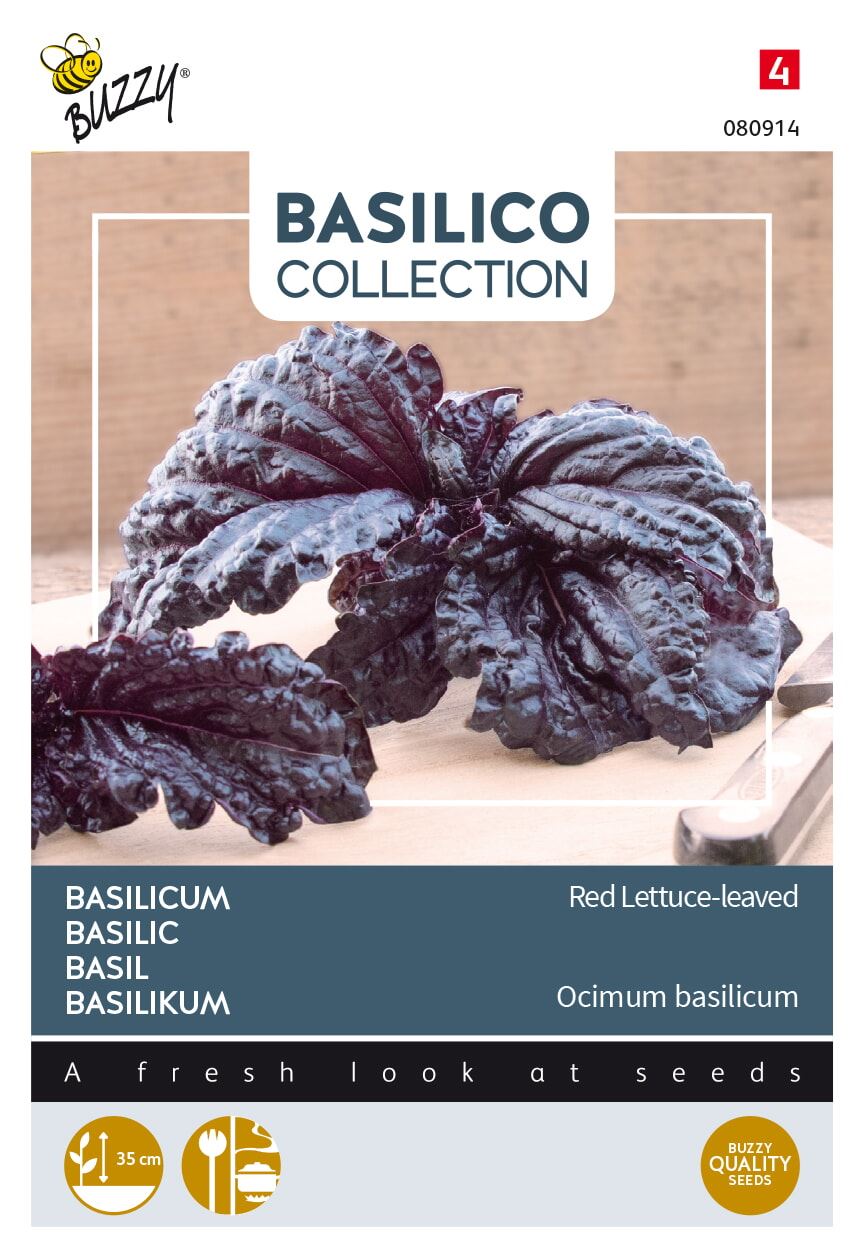 Buzzy® Basilicum zaden - a foglia violetta di lattuga afbeelding