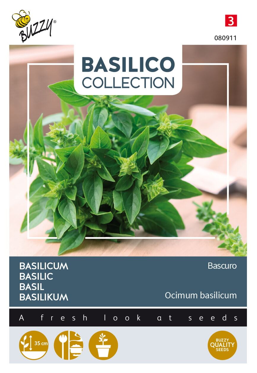 Buzzy® Basilicum zaden - Bascuro afbeelding