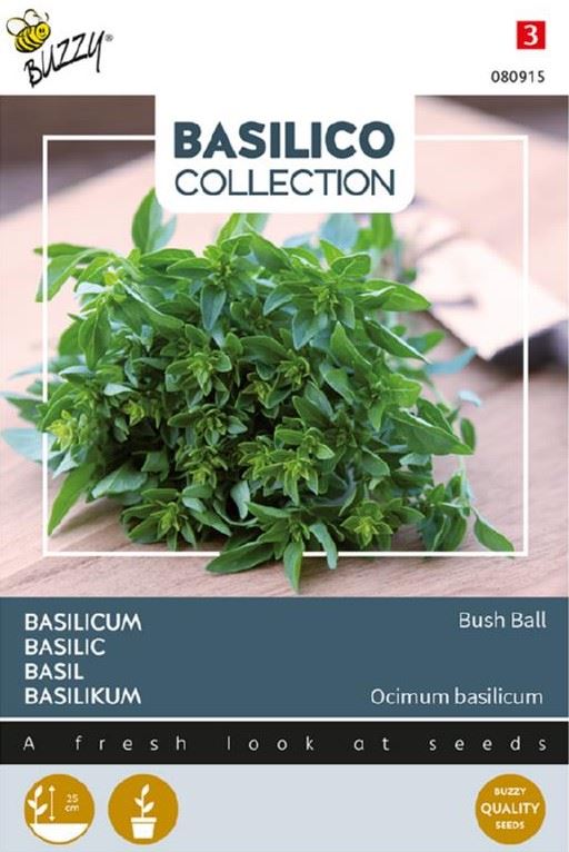 Buzzy Basilicum'Greek Basil Bush Ball'- very fine leaved afbeelding