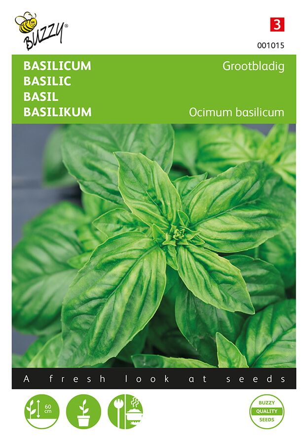 Buzzy® Basilicum zaden - Grove afbeelding
