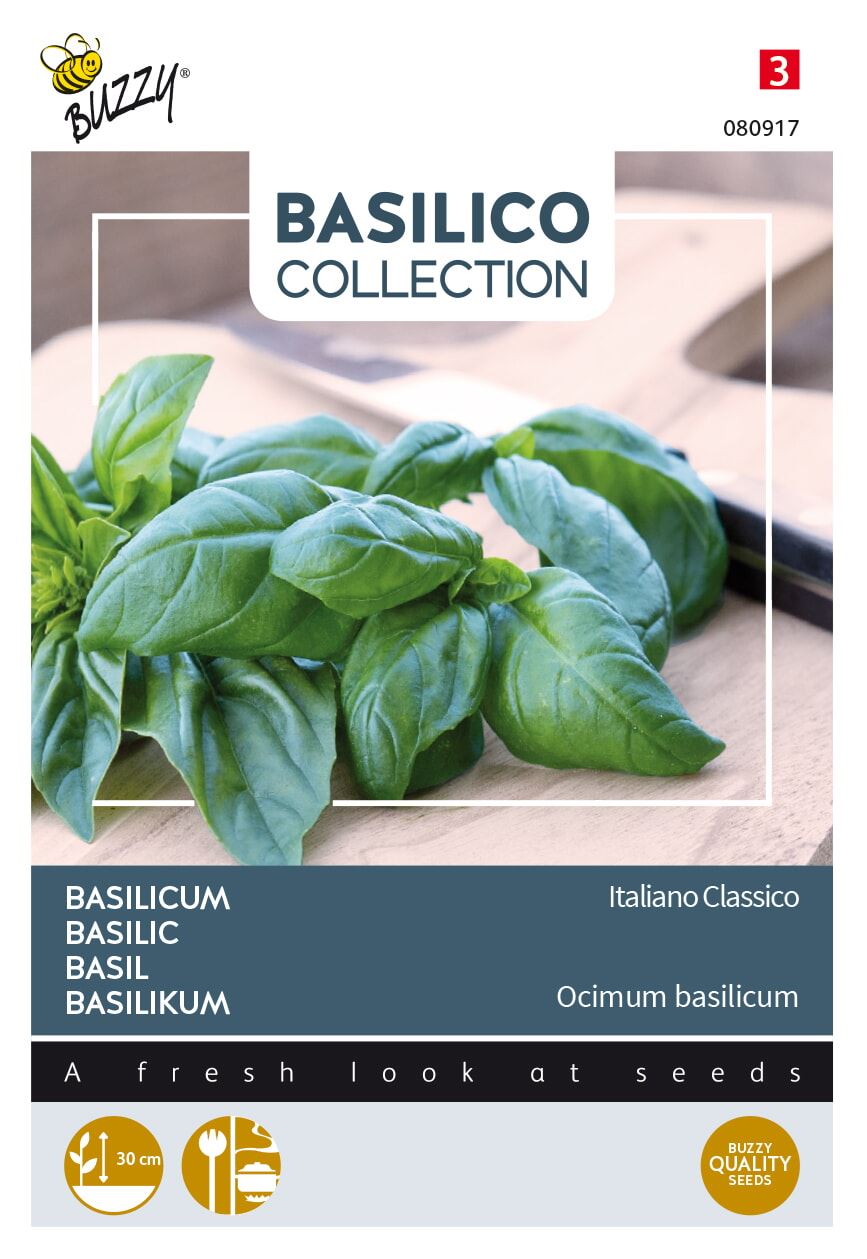 Buzzy® Basilicum zaden - Italiano Classico afbeelding