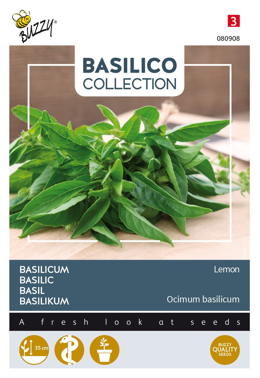 Buzzy® Basilicum zaden - Limone afbeelding