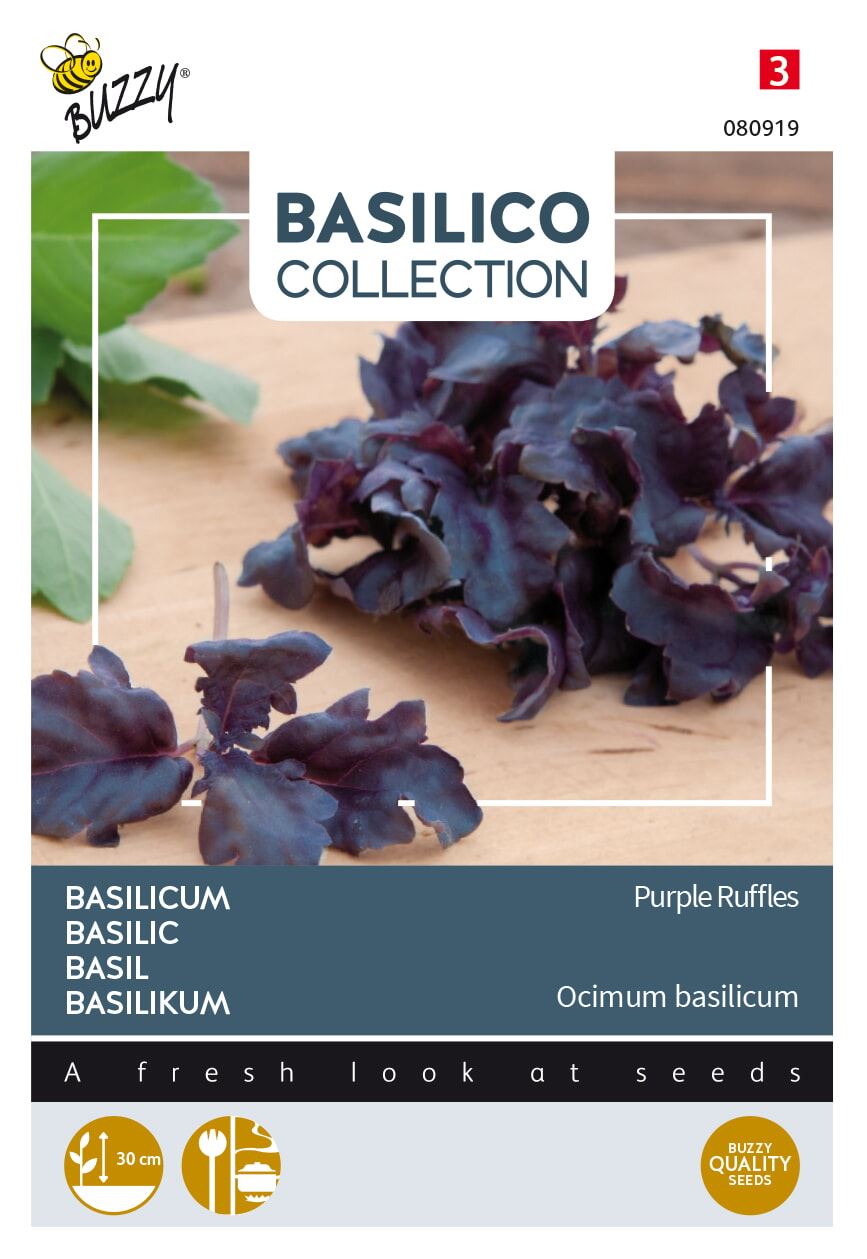 Buzzy® Basilicum zaden - Purple Ruffles afbeelding