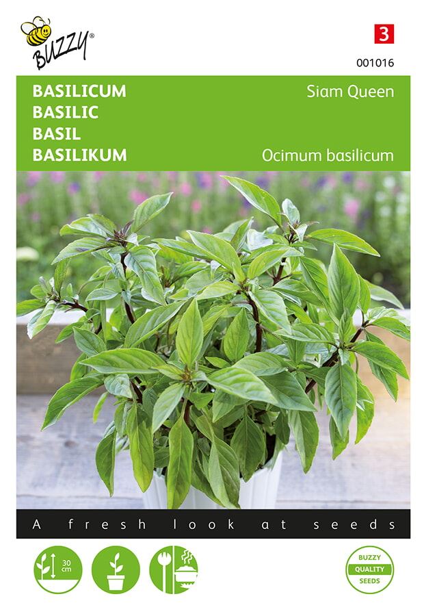 Buzzy® Basilicum zaden - Siam Queen - Thaise basilicum met paarse bloemen afbeelding