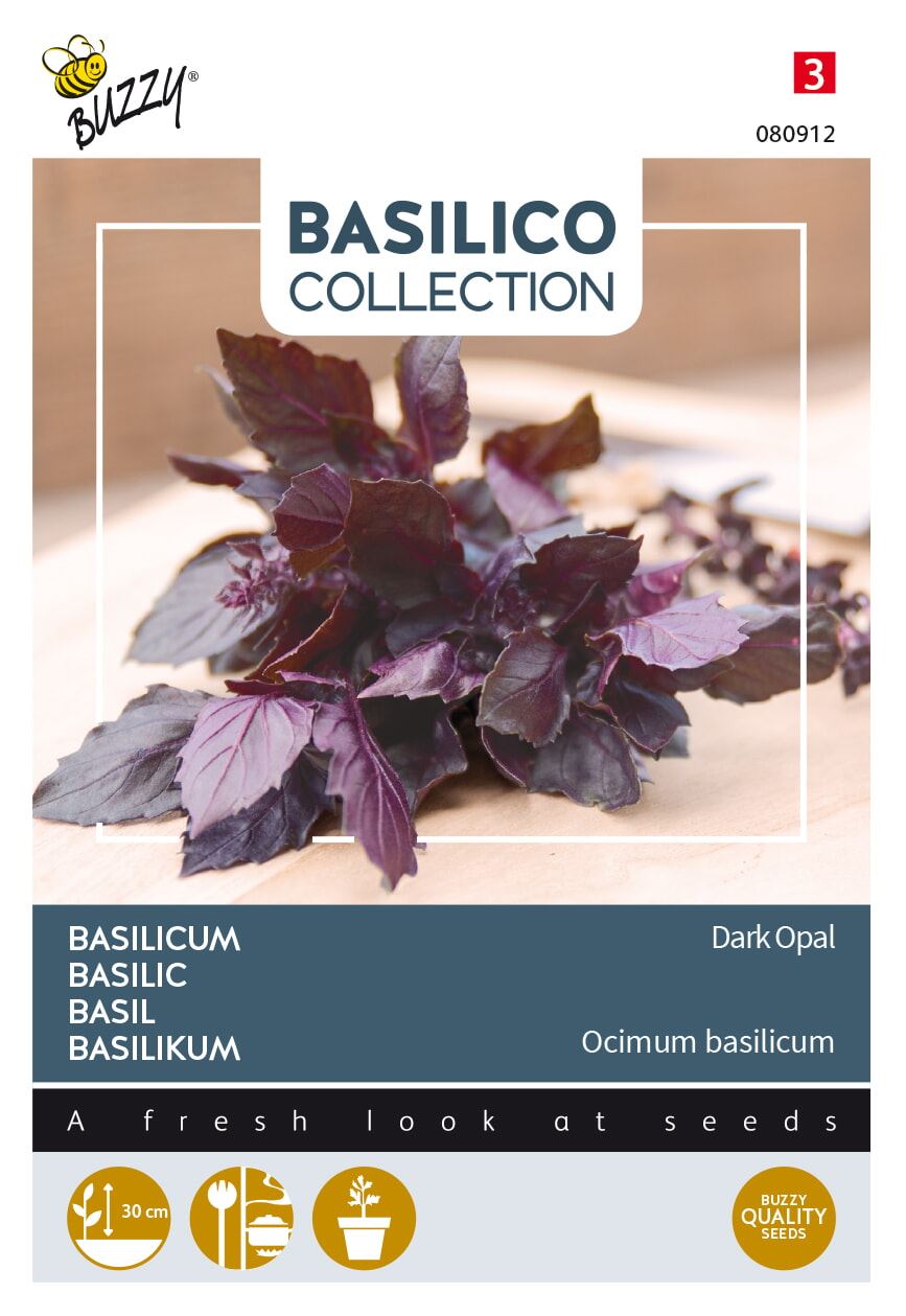 Buzzy® Basilicum zaden - Violetto Aromatico afbeelding