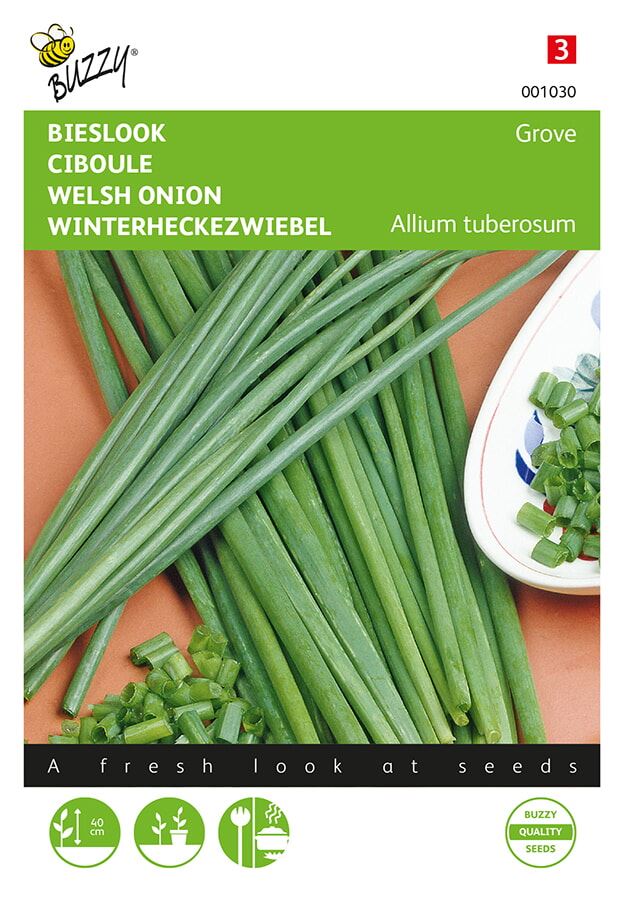 Buzzy® Bieslook zaden - Grove - Allium fistulosum afbeelding