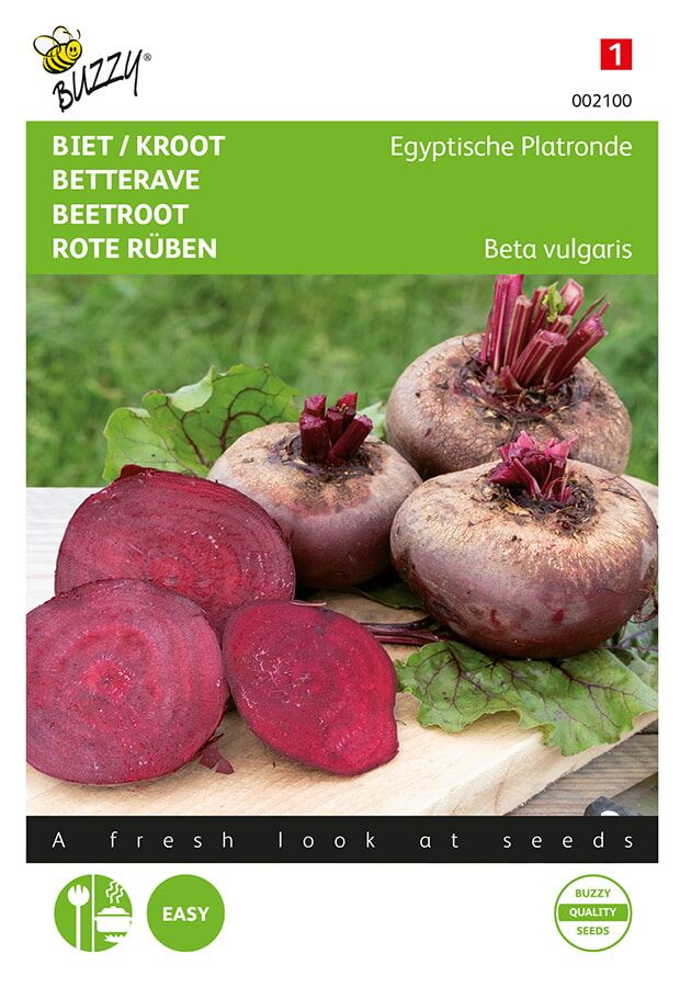 Buzzy® Biet / Kroot zaden - Egyptische Platronde afbeelding