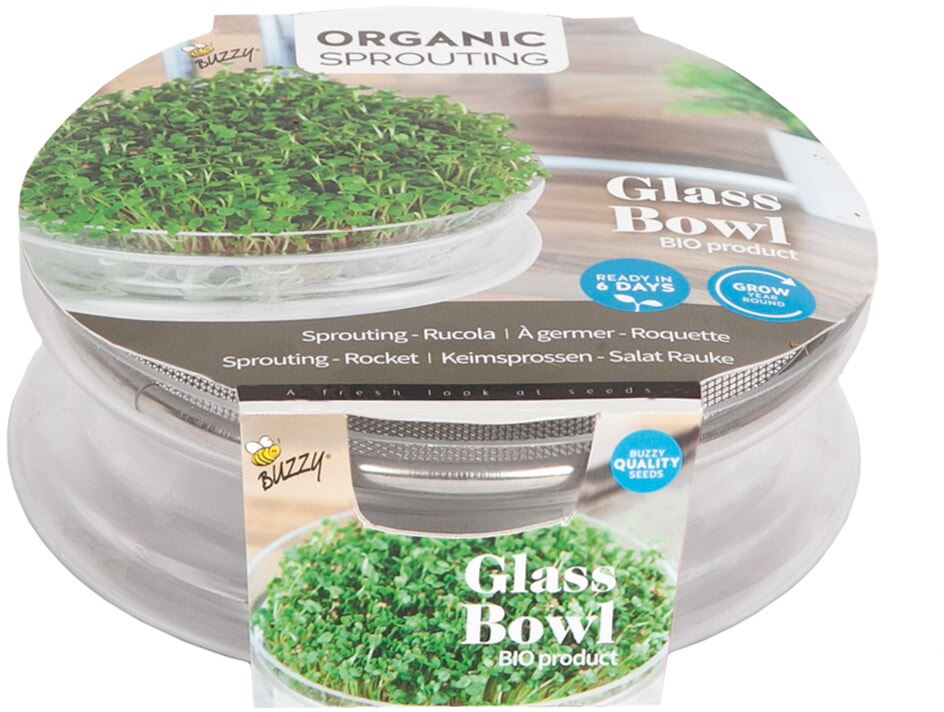 Buzzy® Bio Knip&Eet - rucolakers zaden in glazen schaal afbeelding
