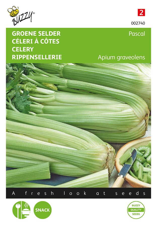 Buzzy® Bladselderij Pascal zaden - Groene Volpijp afbeelding