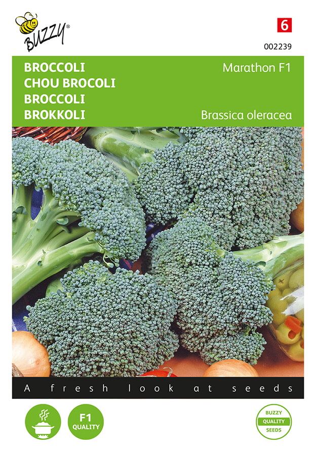 Buzzy® Broccoli zaden - Marathon F1 afbeelding