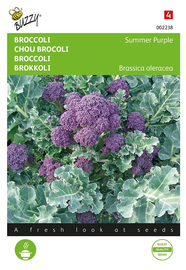 Buzzy® Broccoli zaden - Summer Purple afbeelding