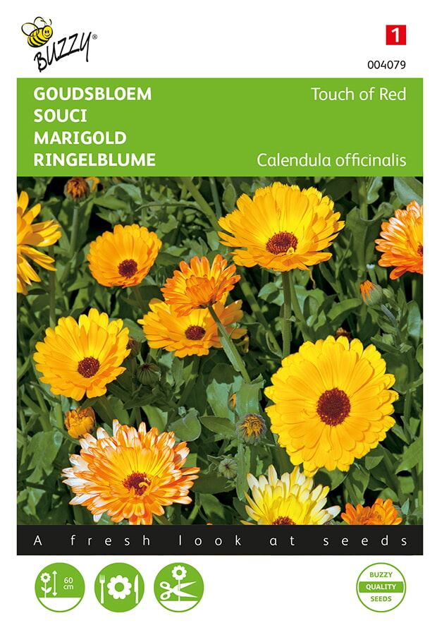 Buzzy® Goudsbloem zaden - Touch of Red - gemengd afbeelding