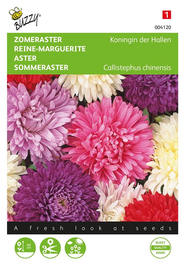 Buzzy® Zomeraster zaden - Koningin der Hallen - gemengd afbeelding