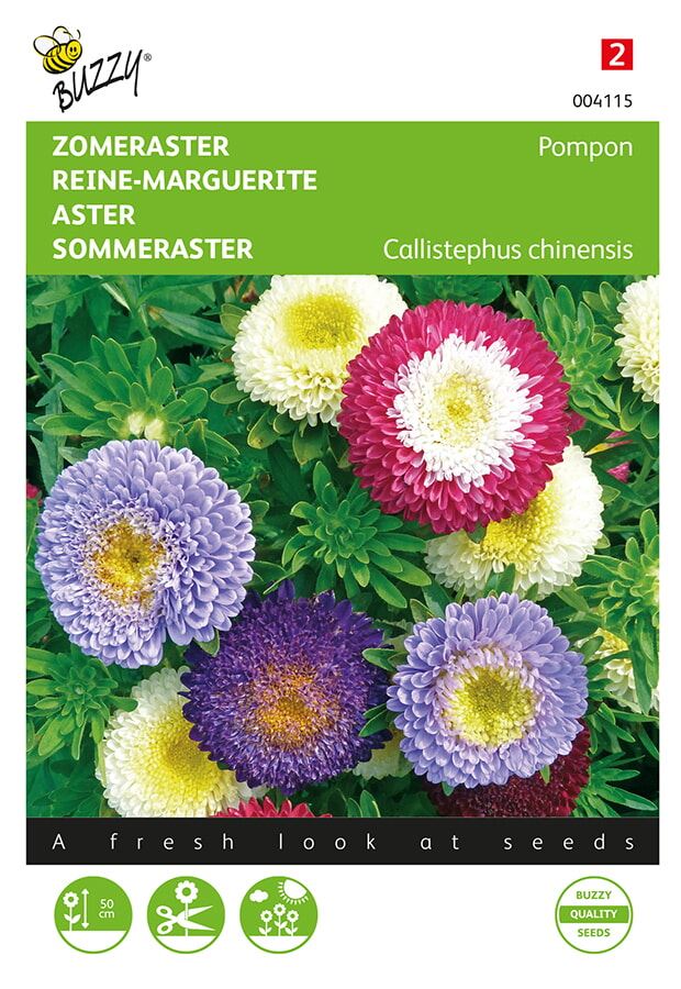 Buzzy® Zomeraster zaden - Pompon - gemengd afbeelding
